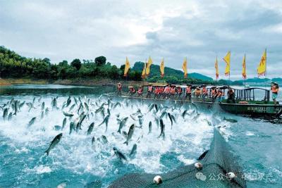 大水面生态增养殖渔业典型案例•5 | 千岛湖增殖渔业