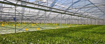 智慧农业涌新潮