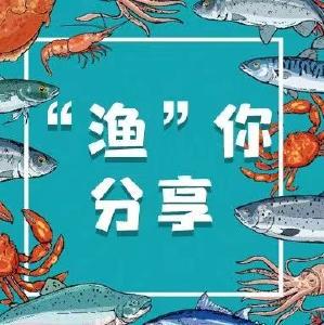“渔”你分享 | 黄颡鱼、乌鳢的营养价值如何？