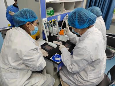 新疆巴州开展兽医检测技术培训 提升动物疫病防控能力