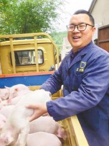 东宝林中养猪千头 种菜收入百万 代中宝助力乡亲增收就业