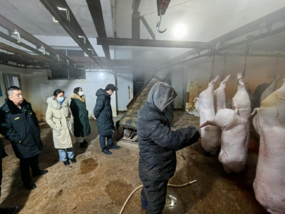 辽宁营口开展“两节”期间畜禽屠宰及肉品质量安全监督检查工作