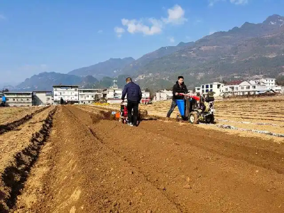 轻便易上手 山区“来”了马铃薯播种新农机