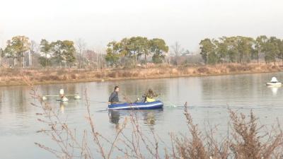 年货节”争“鲜”上市 这个家庭农场“很抢手”！
