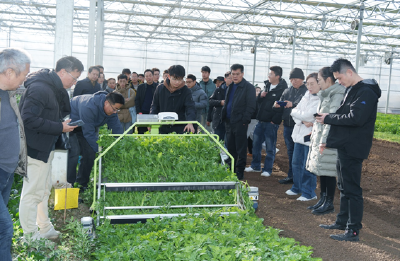 上海开展设施绿叶菜全程无人化生产技术培训