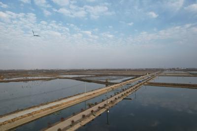 黄建鹏：水乡逐梦，蹚出生态“致富路”