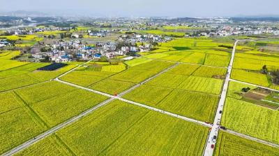 种田更有科技范儿