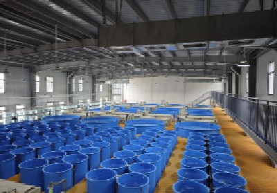 广州南沙首个渔业绿色循环发展试点项目揭牌投产