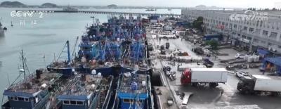 节后海鲜捕捞忙：市场供应大幅增加 价格稳步回落