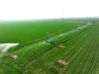 这省政府工作报告提出：推广滴灌+水肥一体化+合理密植种植技术