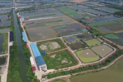 以“质”为本 逐“绿”前行 ——湖北省武汉市蔡甸区渔业高质量发展纪实