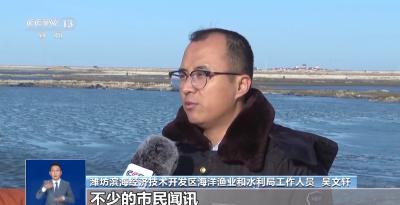 海面封冻梭鱼成“冰棍” 这样的“渔利”能随便收吗？