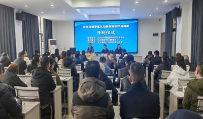 武汉：打好春防组合拳 织密安全防护网