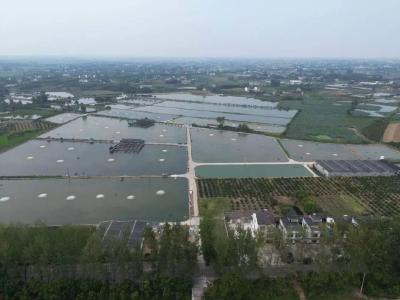 枝江：“三措并举”绘就渔业绿色新图景 