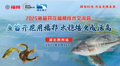 回播 | 鱼苗开花用福邦 水稳病少成活高