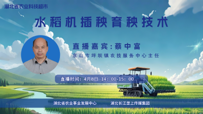 回播 | 水稻机插秧育秧技术