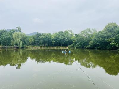 中华鳖工厂化苗种培育技术