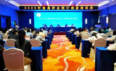 强作风 重实效 以高质量统计助力畜禽种业振兴行动
