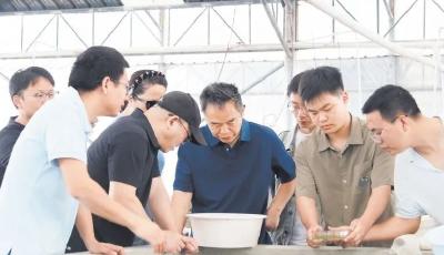 刘少军：三代传承 让中国人吃好鱼吃放心鱼