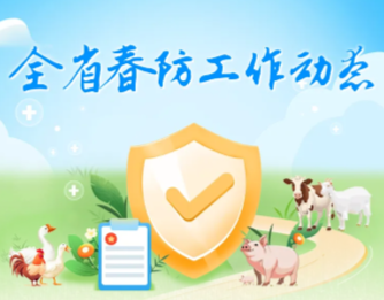 全省春季重大动物疫病集中免疫任务全面完成