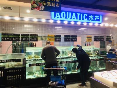 大口黑鲈疾病防控技术指南发布