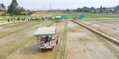 农业机械化助力四川绵阳“种业强市”