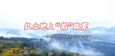 红土地上“稻”路宽—返乡创业人员向传艳
