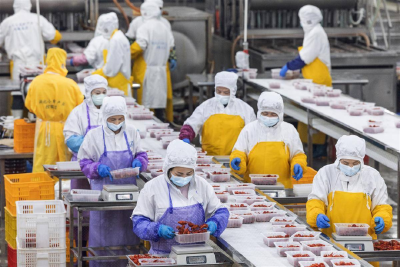 动物防疫知多少 | 如何划分政府和农业农村等部门的动物防疫责任？