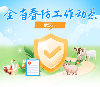 武汉：织密春防屏障 夯实基层防线 
