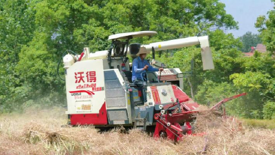 我省推动油菜机收减损提单产技术落地见效