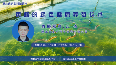 回播 | 黄鳝的绿色健康养殖技术