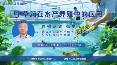 回播 | 中草药在水产养殖中的应用