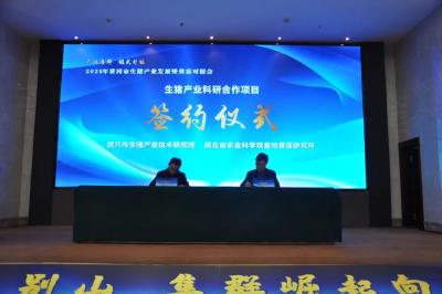 武穴：新质生产力点燃生猪产业高质量发展“强引擎”