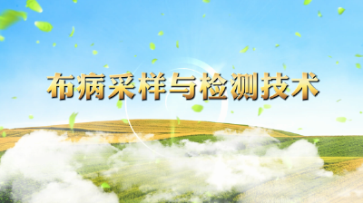 布病采样与检测技术
