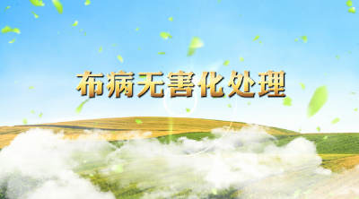 布病无害化处理