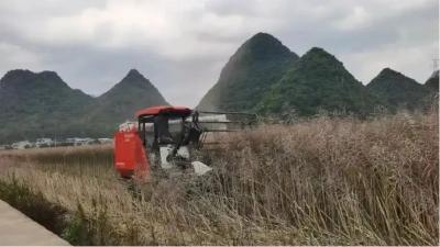 各显其能！这省开展油菜机收减损大比武！