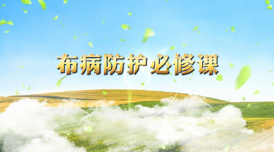 布病防护必修课