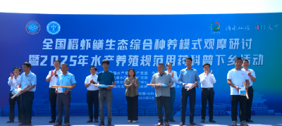 2025年规范用药科普下乡活动在湖北仙桃举办