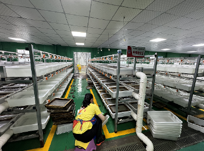 省水产技术推广总站赴仙桃开展黄鳝健康养殖技术指导服务活动