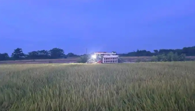 应对台风“韦帕”！ 广西逾80万台（套）农机连夜抢收早稻！