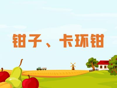 农机维修知识问答——钳子、卡环钳用途？