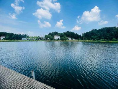 宜昌：疫病防控抓“四早”，确保渔业“开门红”