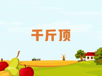 农机维修知识问答——使用千斤顶时要注意什么？