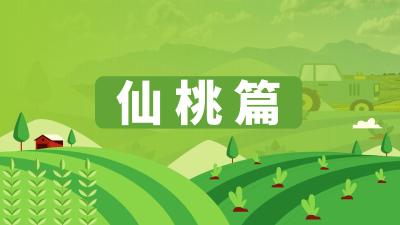 湖北省农机维修网点及重点品牌农机维修店信息汇总——仙桃篇