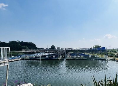 大冶：做好“五字文章” 发展大水面生态渔业