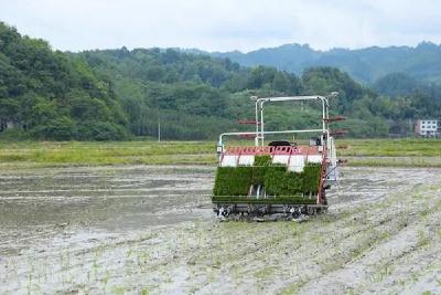 这省46个水稻生产大县推广全程机械化 