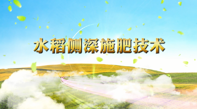 水稻侧深施肥技术