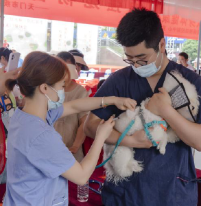 从源头阻断狂犬病传播 我省三地启动全国首批试点 