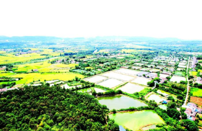 京山：“一只龟鳖”步入全国前列的生态路