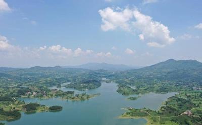 智能系统实现水体面源污染物动态监测